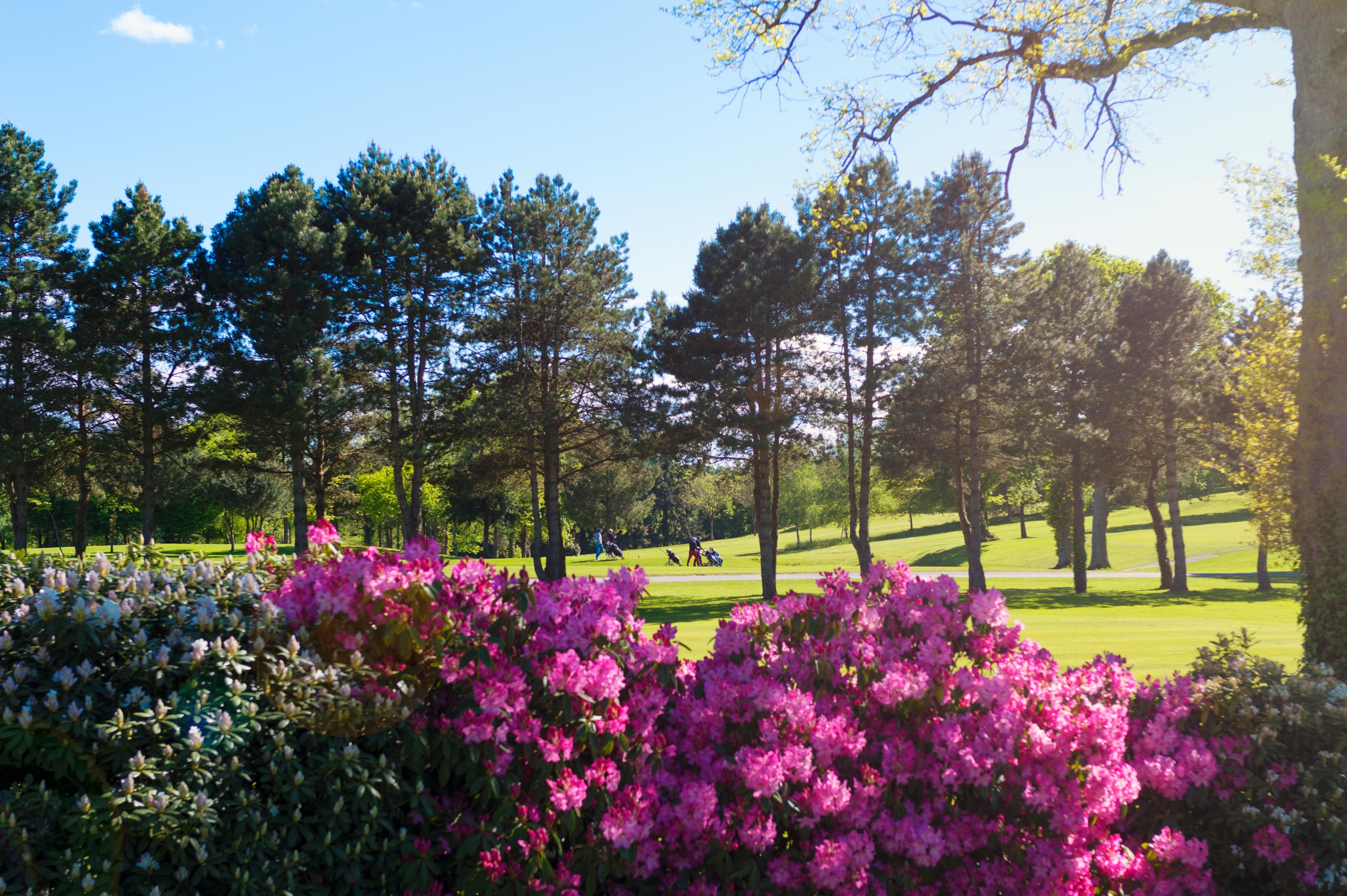 Saint Malo Golf Resort Le Tronchet  Esterno foto